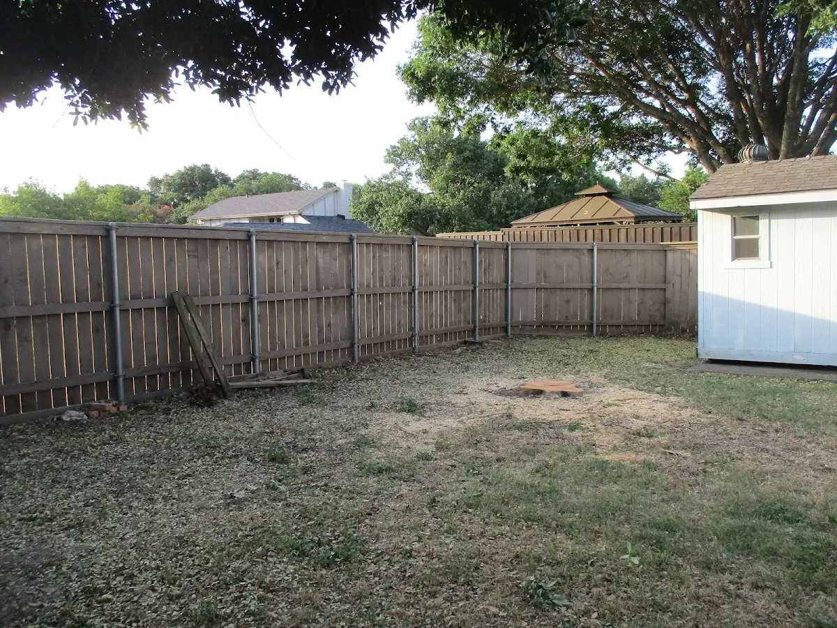 Cleared yard after professional tree removal in Newington